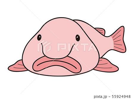 Blobfish Stock Illustrations – 43 Blobfish Stock Illustrations, Vectors &  Clipart - Dreamstime