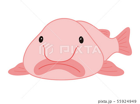ブロブフィッシュ ニュウドウカジカ 深海魚 キャラクター ベクター