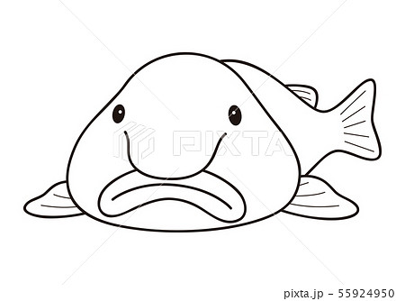 Blobfish New Year's Deer Deep Sea Fish... - Stock Illustration [55924950] -  PIXTA
