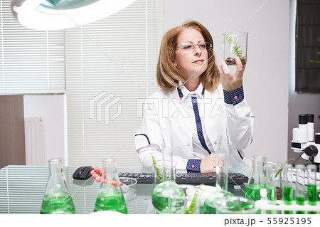 Academic scientist doing research on plants in microbiological lab 55925195