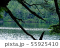 湖 55925410