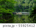 湖面 55925412