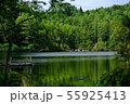 白駒の池 55925413