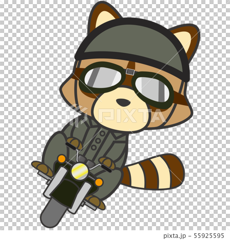 あらいぐまライダー 55925595