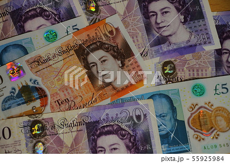 イギリスポンド貨幣 イギリスポンド貨幣 55925984