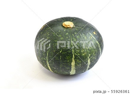 栗カボチャ 55926361