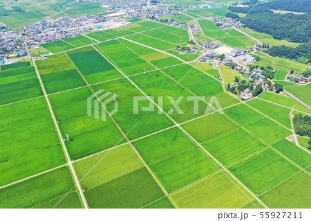 新潟県の田園風景 55927211