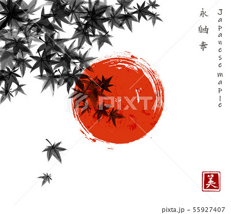 Japanese maple leaves and big red sun on white background. Traditional Japanese ink wash painting 55927407