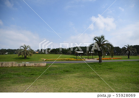 辻堂海浜公園 辻堂海浜公園 55928069