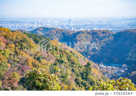 高尾山 秋の登山道 稲荷山コース あずま屋から都心方面の見晴らし 高尾山 秋の登山道 稲荷山コース あずま屋から都心方面の見晴らし 55928564
