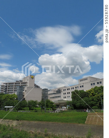 横浜労災病院 横浜労災病院 55928780