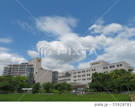 横浜労災病院 横浜労災病院 55928781
