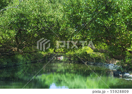 台湾 台北 台北市 55928809