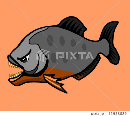 Piranha Is A Ferocious And Dangerous Fish のイラスト素材