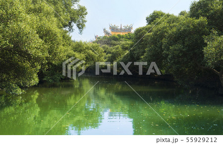 台湾 台北 台北市 55929212