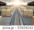 Box on conveyor roller.  Delivery service, 55929242