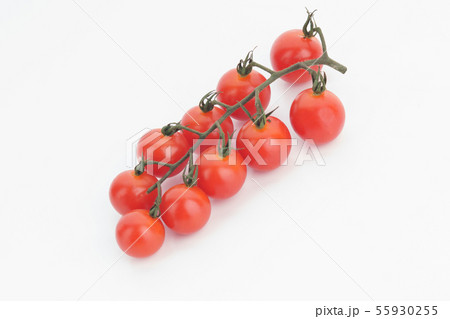 Ripe cherry tomatoes on a twig on a white 55930255