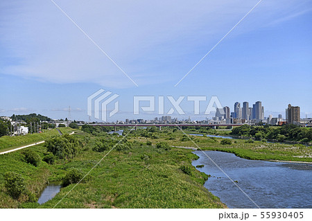 日本の川崎都市景観 二子玉川から多摩川や武蔵小杉のタワーマンション群などを望む 日本の川崎都市景観 二子玉川から多摩川や武蔵小杉のタワーマンション群などを望む 55930405
