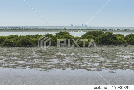 台湾 台北 台北市 55930896