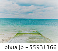海の道 55931366
