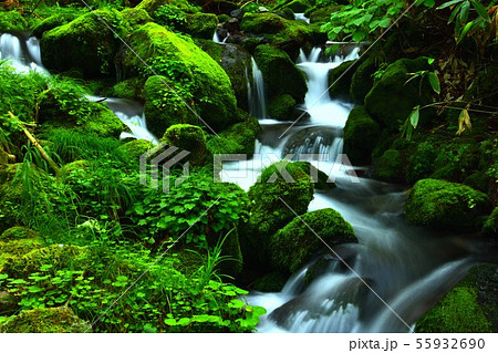五色ヶ原 シラベ沢 五色ヶ原 シラベ沢 55932690