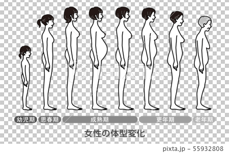 Change in female breast shape, illustration - Stock Image - F034