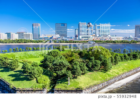 東京　お台場の風景（レインボーブリッジより） 55932948