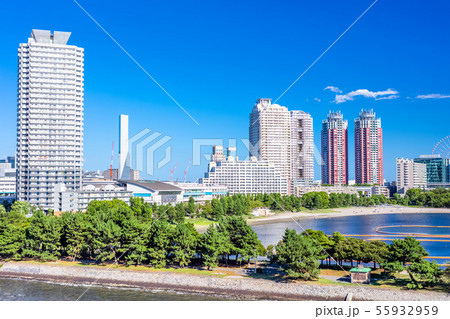 東京　お台場の風景（レインボーブリッジより） 55932959