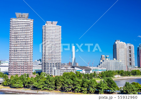 東京 お台場の風景(レインボーブリッジより) 東京 お台場の風景(レインボーブリッジより) 55932960