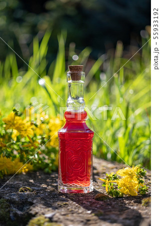 A bottle of red oil made from St. John's wort 55933192