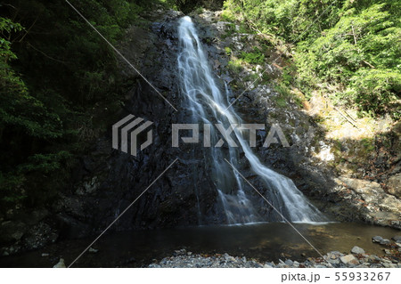 八瀬尾の滝 55933267