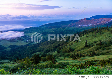（群馬県）渋峠から望む、芳ヶ平と草津白根山　夏 55935729