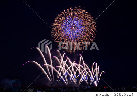 うつのみや花火大会2019 55935914