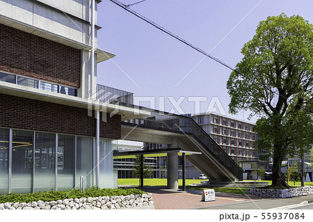 高知県立大学 高知工科大学 高知短期大学 永国寺キャンパス 高知県高知市 高知県立大学 高知工科大学 高知短期大学 永国寺キャンパス 高知県高知市 55937084