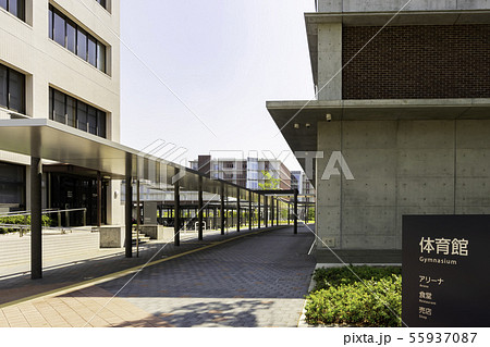 高知県立大学 高知工科大学 高知短期大学 永国寺キャンパス 高知県高知市 高知県立大学 高知工科大学 高知短期大学 永国寺キャンパス 高知県高知市 55937087