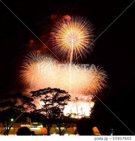 ふくろい花火190810pm8:51-2 55937602