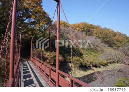 織姫公園 織姫公園 55937745