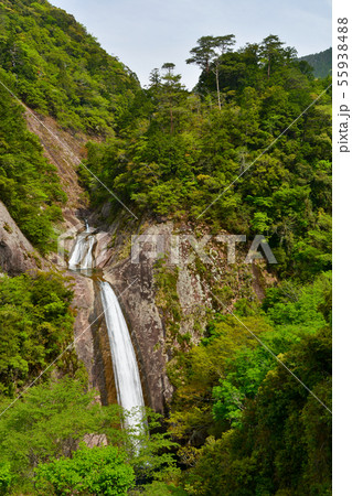 新緑の布引の滝 55938488