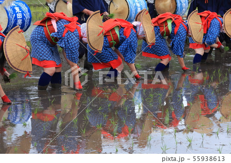 広島県 北広島町 原東大花田植 早乙女 広島県 北広島町 原東大花田植 早乙女 55938613