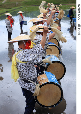 広島県　北広島町　原東大花田植 55938620