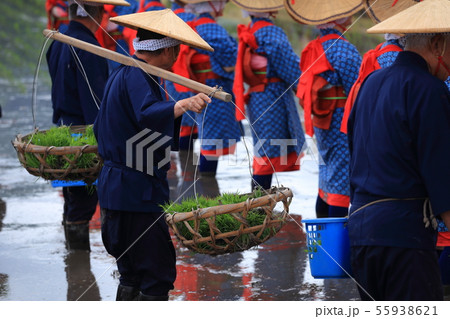 広島県 北広島町 原東大花田植 広島県 北広島町 原東大花田植 55938621
