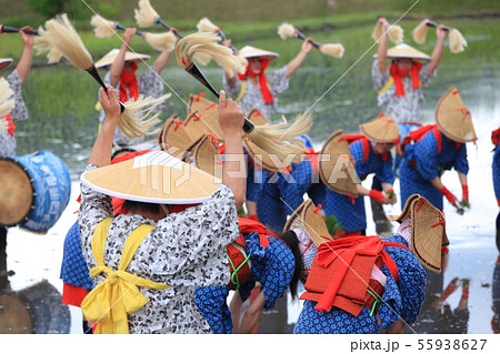 広島県 北広島町 原東大花田植 広島県 北広島町 原東大花田植 55938627