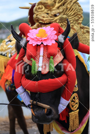 広島県 北広島町 原東大花田植 飾牛 広島県 北広島町 原東大花田植 飾牛 55938639