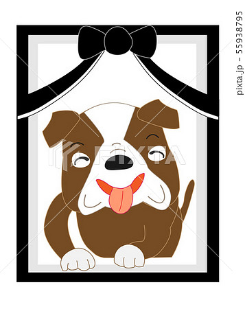 愛犬の遺影 愛犬の遺影 55938795