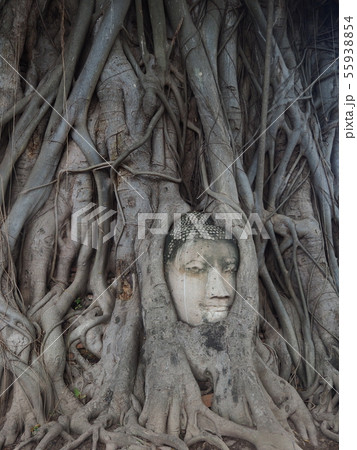 アユタヤの仏像 55938854