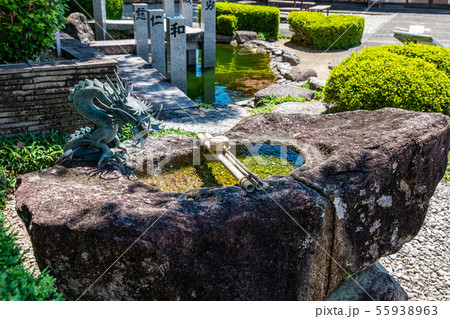 不老の池と手水鉢 徐福公園 不老の池と手水鉢 徐福公園 55938963