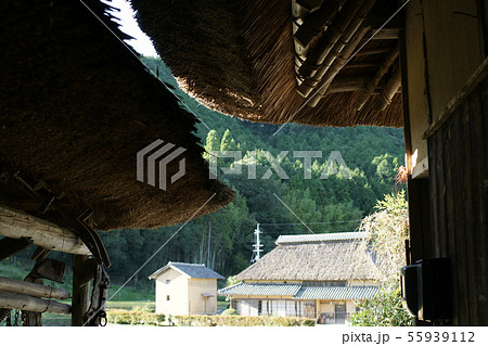 四季の散歩　秋　八塔寺 55939112