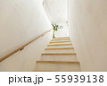 階段 55939138