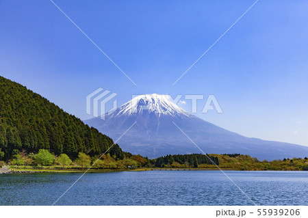 富士山、静岡県富士宮市田貫湖にて 富士山、静岡県富士宮市田貫湖にて 55939206