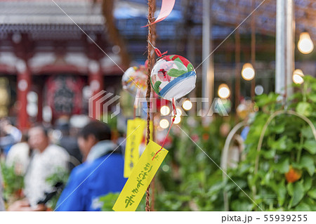 【浅草 浅草寺 ほおずき市】 【浅草 浅草寺 ほおずき市】 55939255